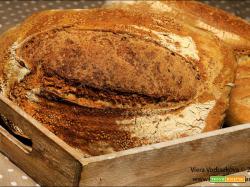 Pane al Teff fermentato e semi di sesamo