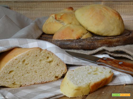 Pane con lievito madre ricetta e consigli