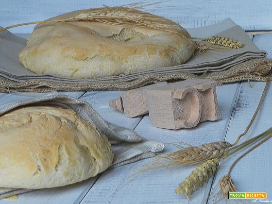 Pane bianco con pasta madre