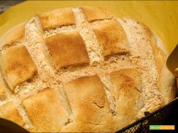 Pane bianco con Nutrifree e con pasta madre
