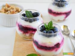 Mousse allo yogurt con granola e frutti di bosco