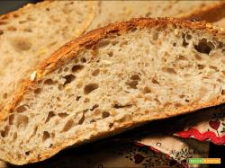 Pane all’avena e semi di lino e girasole