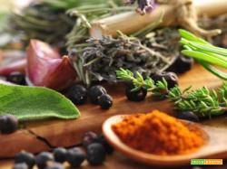Spezie ed erbe aromatiche le loro proprietà e come usarle in cucina