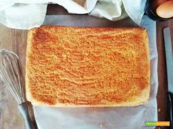 Pan di spagna rettangolare (dose per 16 porzioni)