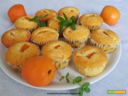Muffin con cocco e albicocche, al olio