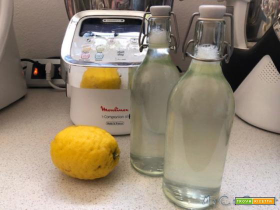 Bevanda isotonica al limone o all’arancia con il CuCo Moulinex