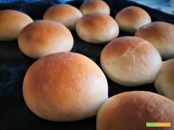 Panini soffici allo strutto