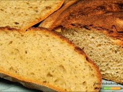 Pane quotidiano con la farina del Lupino