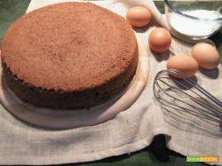 Pan di spagna al cacao