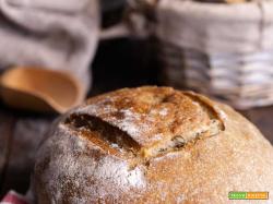 Pane con grano arso a lievitazione naturale