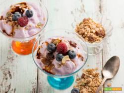 Frozen yogurt anche a casa! Fresco, sfizioso e nutriente