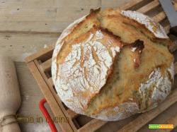 Pane in pentola