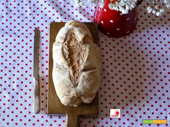 Pane con Pasta Madre