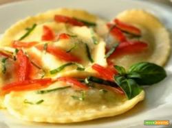 TORTELLI PATATE E PANCETTA CON POMODORO E BASILICO