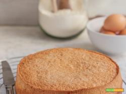 Torta genovese: ricetta base per torte