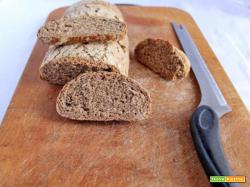 Pane integrale No-knead bread