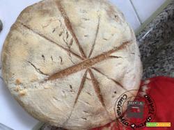 Pane integrale con lievito madre