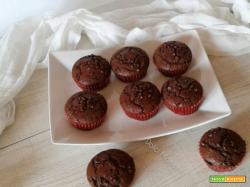 Muffin al cacao e gocce di cioccolato