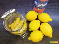 Limoncello
