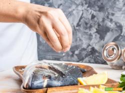 Sali gourmet, le spezie più utili in cucina