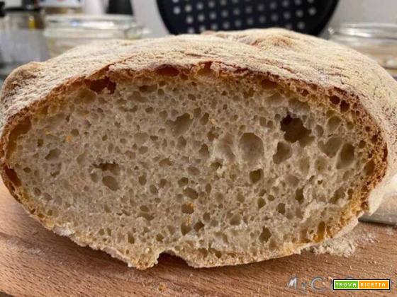 Pane semplice con farina 00, a prova di principiante – Impastato con il Companion Moulinex