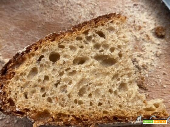 Pane senza lievito impastato col Companion Moulinex
