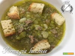 Garmugia lucchese