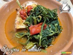 Spogna (finocchietto) in umido con i pomodorini