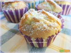 Muffin con farine naturali uvetta e pinoli