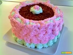 Nuvola rosa