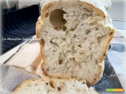 Pane senza glutine con la MdP alle olive verdi