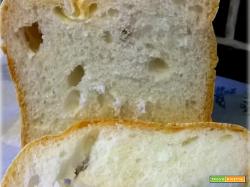 Pane senza glutine con mdp