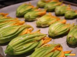 Fiori di zucca ripieni