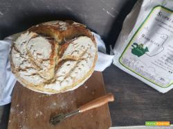 La Carosella lucana e la ricetta del suo pane tradizionale