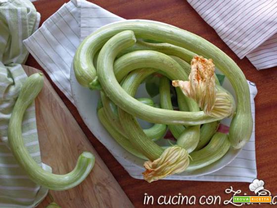 Le zucchine trombetta di Albenga