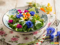 Insalata di fiori ed erbe con Skyr, un piatto elegante
