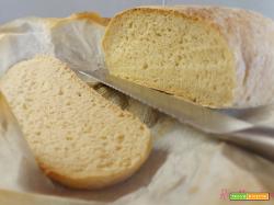 Pane senza glutine e lievito