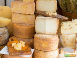 Crema al pecorino fresco
