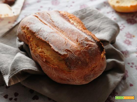 Ricetta del Pane a base di Grano Antico “Saragolla”