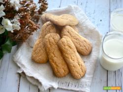 Biscotti deliziosi da inzuppare nel latte