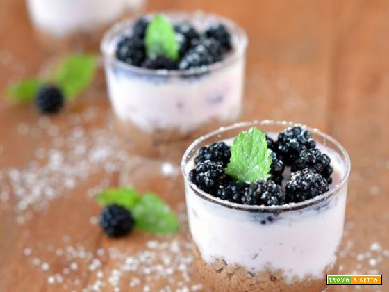 Plumcake soffice allo yogurt greco senza lattosio e limone – ricetta senza burro