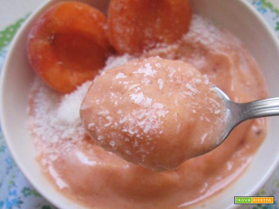 Frozen yogurt all’albicocca