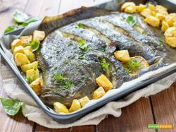 Rombo al forno con patate