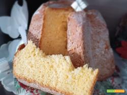 Pandoro classico fatto in casa