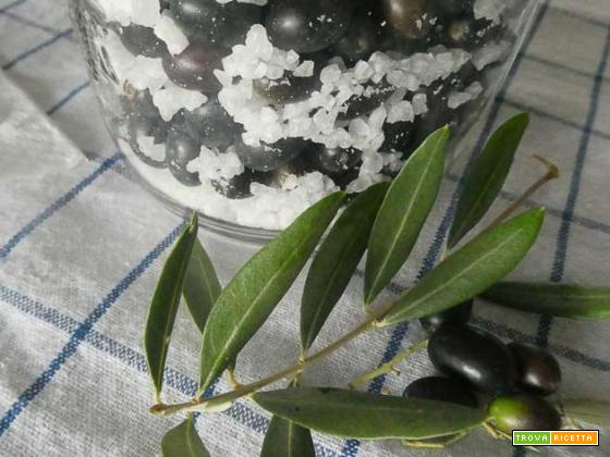 Come conservare le olive sotto sale
