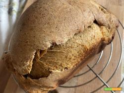 Pane ai semi di lino e pomodori secchi con la macchina del pane