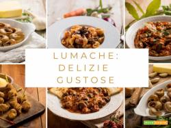 Ricette con le lumache: una guida per cucinarle e prepararle