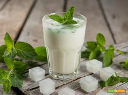 Latte e menta, la bevanda che rinfresca e rigenera