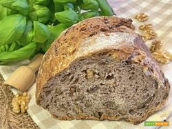 Pane NOCI