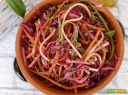 Crauto viola con carote zucchine e mela